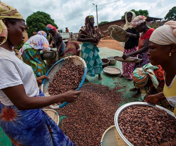 Eerlijke melk kiest vanaf nu ook voor fairtrade cacao