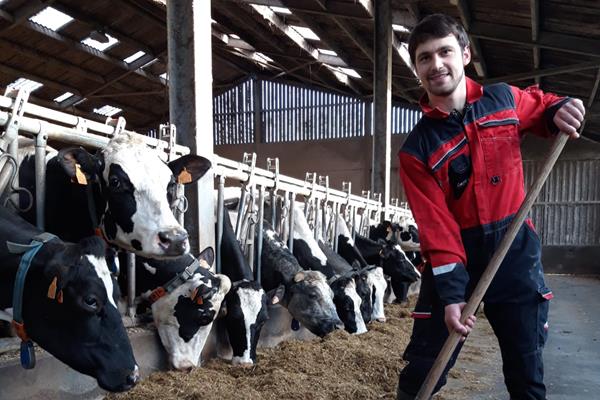 Arnaud, Provinz Hennegau - Ja, Supermarkt reimt sich auf lokal.