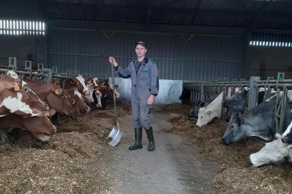 Dimitri, Provinz Hennegau - Ja, Supermarkt reimt sich auf lokal.