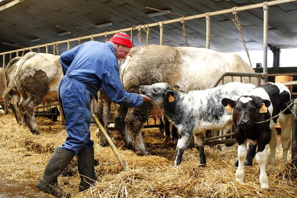 Fair: für alle Glieder der Kette