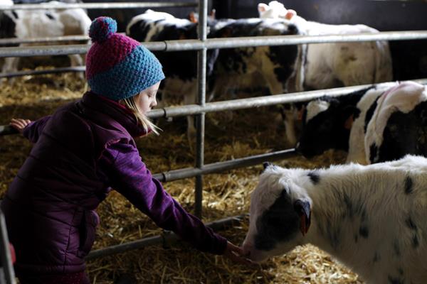 Équitable : pour tous les maillons de la chaîne