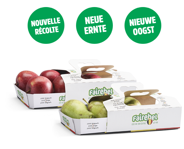 Croquez dans - Accueil