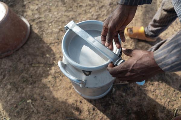 Le dernier voyage d'Erwin - Actualités