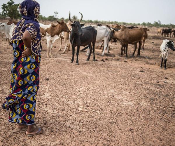 01. Juni 2016, Ouagadougou