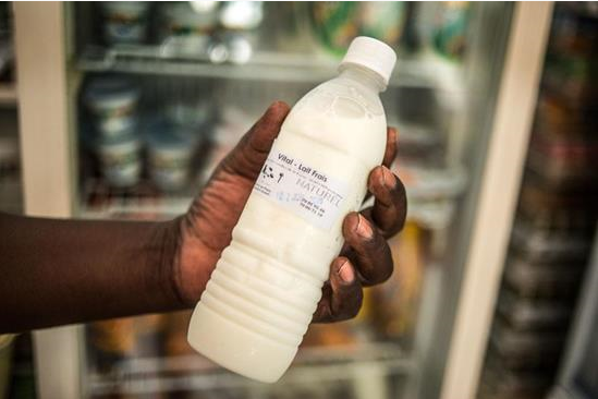 Fairebel will die Produktion fairer Milch im Senegal und in Mauretanien fördern