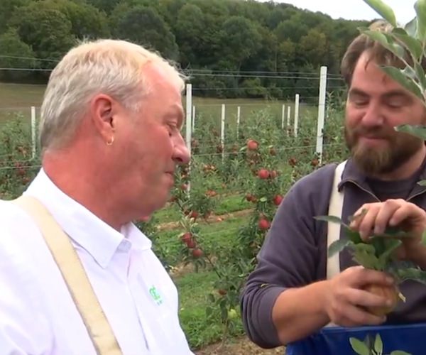 Fairebel, une marque équitable et locale aussi pour les fruits!