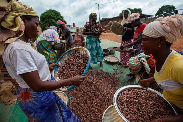 Eerlijke Fairebel chocolademelk met Fairtrade cacao