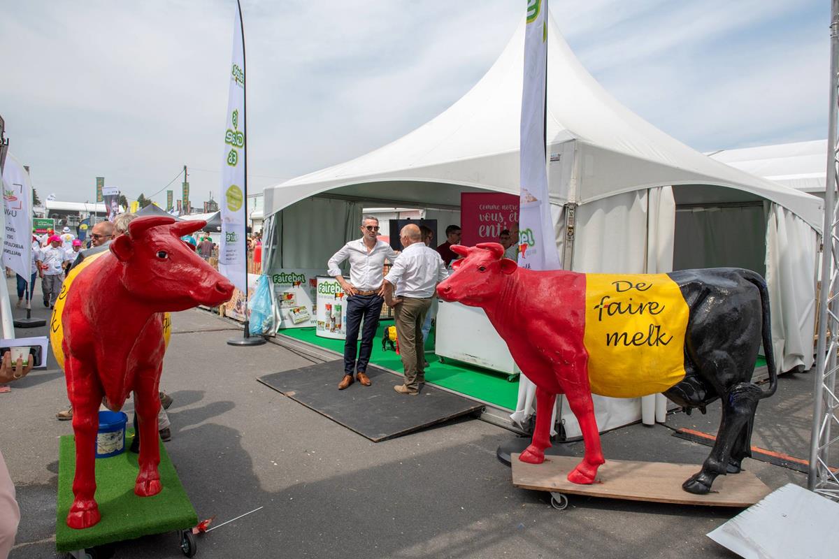 Een Koe kopen of huren - Fairebel