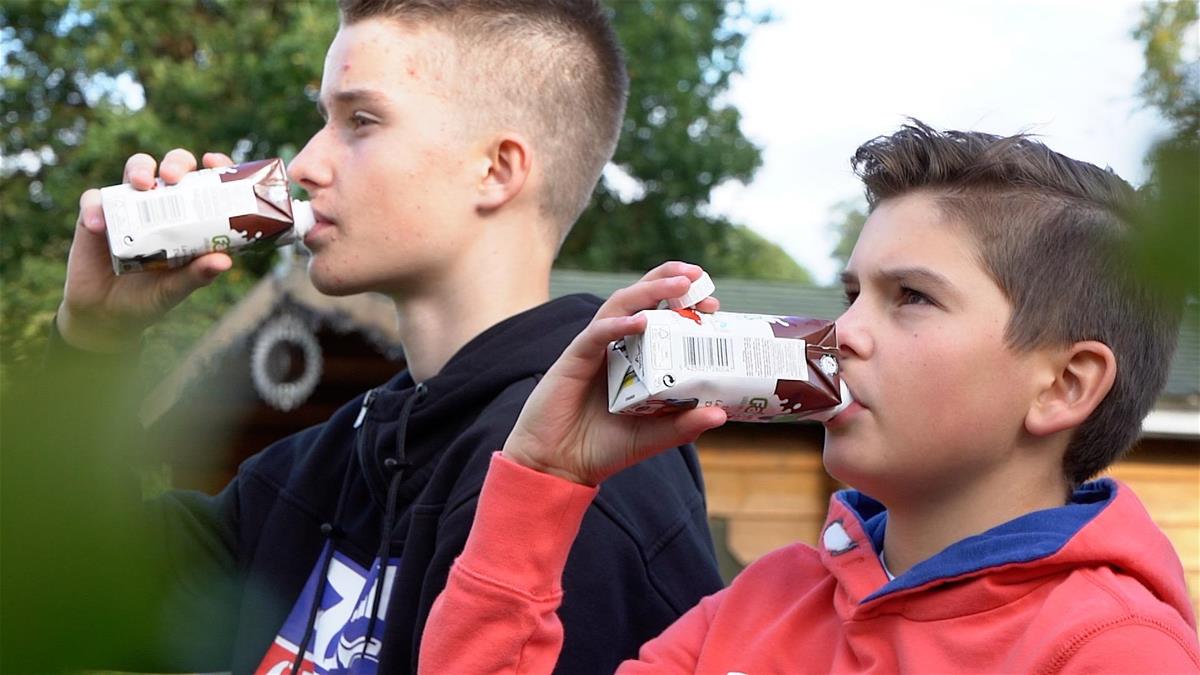 Programma voor scholen - Fairebel